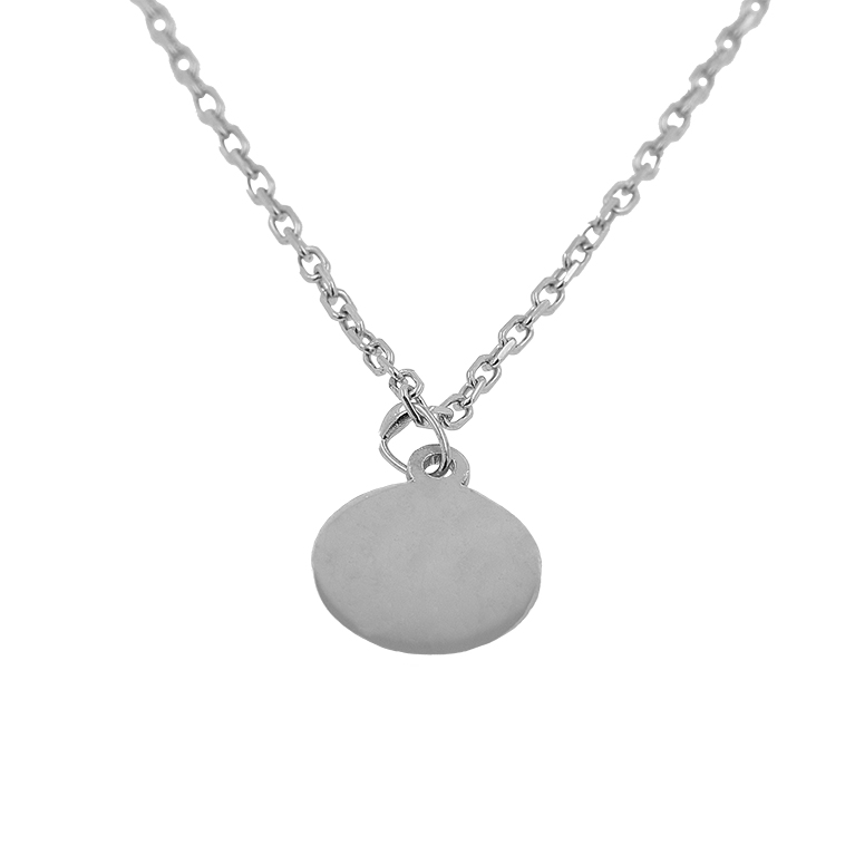 Silver Chain with Circle Pendant
