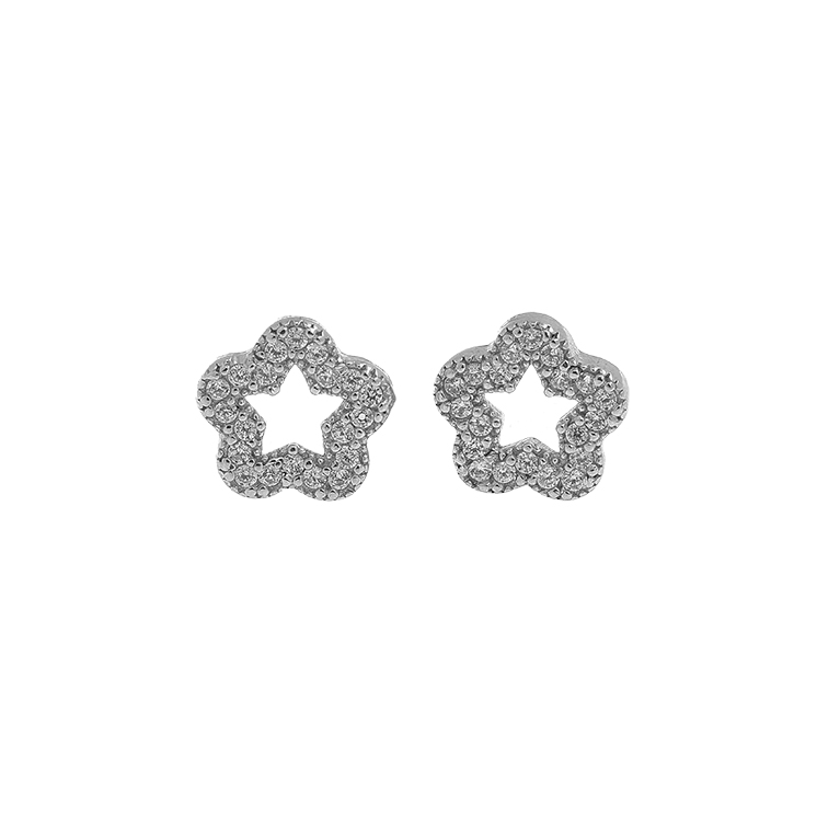 Silver Star Earrings with Zirconium
